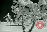 Image of Skiing in Spain Spain, 1946, second 40 stock footage video 65675021133