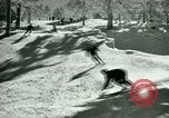 Image of Skiing in Spain Spain, 1946, second 57 stock footage video 65675021133