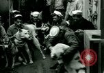 Immagine di South Polar Expedition L'Antartide, 1946, secondo 19 filmato di repertorio 65675021135