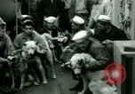 Immagine di South Polar Expedition L'Antartide, 1946, secondo 20 filmato di repertorio 65675021135