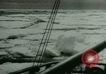 Immagine di South Polar Expedition L'Antartide, 1946, secondo 38 filmato di repertorio 65675021135