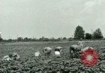 Standbild Deutsche Kriegsgefangenenlager in United States United States USA, 1944, aus Sekunde 3 historischem Filmmaterial Videoclip 65675021139