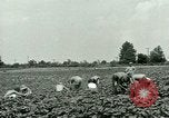 Standbild Deutsche Kriegsgefangenenlager in United States United States USA, 1944, aus Sekunde 4 historischem Filmmaterial Videoclip 65675021139