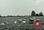 Standbild Deutsche Kriegsgefangenenlager in United States United States USA, 1944, aus Sekunde 5 historischem Filmmaterial Videoclip 65675021139