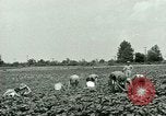 Standbild Deutsche Kriegsgefangenenlager in United States United States USA, 1944, aus Sekunde 6 historischem Filmmaterial Videoclip 65675021139