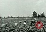 Standbild Deutsche Kriegsgefangenenlager in United States United States USA, 1944, aus Sekunde 7 historischem Filmmaterial Videoclip 65675021139