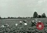 Standbild Deutsche Kriegsgefangenenlager in United States United States USA, 1944, aus Sekunde 8 historischem Filmmaterial Videoclip 65675021139