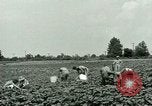 Standbild Deutsche Kriegsgefangenenlager in United States United States USA, 1944, aus Sekunde 9 historischem Filmmaterial Videoclip 65675021139