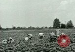 Standbild Deutsche Kriegsgefangenenlager in United States United States USA, 1944, aus Sekunde 10 historischem Filmmaterial Videoclip 65675021139