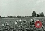 Standbild Deutsche Kriegsgefangenenlager in United States United States USA, 1944, aus Sekunde 12 historischem Filmmaterial Videoclip 65675021139
