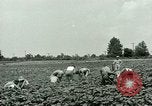 Standbild Deutsche Kriegsgefangenenlager in United States United States USA, 1944, aus Sekunde 13 historischem Filmmaterial Videoclip 65675021139