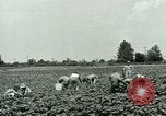 Standbild Deutsche Kriegsgefangenenlager in United States United States USA, 1944, aus Sekunde 14 historischem Filmmaterial Videoclip 65675021139