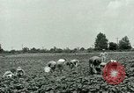 Standbild Deutsche Kriegsgefangenenlager in United States United States USA, 1944, aus Sekunde 15 historischem Filmmaterial Videoclip 65675021139