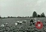 Standbild Deutsche Kriegsgefangenenlager in United States United States USA, 1944, aus Sekunde 16 historischem Filmmaterial Videoclip 65675021139