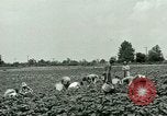 Standbild Deutsche Kriegsgefangenenlager in United States United States USA, 1944, aus Sekunde 17 historischem Filmmaterial Videoclip 65675021139