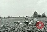 Standbild Deutsche Kriegsgefangenenlager in United States United States USA, 1944, aus Sekunde 19 historischem Filmmaterial Videoclip 65675021139