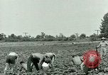 Standbild Deutsche Kriegsgefangenenlager in United States United States USA, 1944, aus Sekunde 23 historischem Filmmaterial Videoclip 65675021139