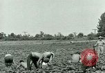 Standbild Deutsche Kriegsgefangenenlager in United States United States USA, 1944, aus Sekunde 26 historischem Filmmaterial Videoclip 65675021139