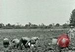Standbild Deutsche Kriegsgefangenenlager in United States United States USA, 1944, aus Sekunde 27 historischem Filmmaterial Videoclip 65675021139