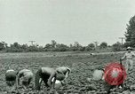 Standbild Deutsche Kriegsgefangenenlager in United States United States USA, 1944, aus Sekunde 28 historischem Filmmaterial Videoclip 65675021139