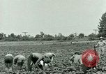 Standbild Deutsche Kriegsgefangenenlager in United States United States USA, 1944, aus Sekunde 29 historischem Filmmaterial Videoclip 65675021139