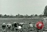 Standbild Deutsche Kriegsgefangenenlager in United States United States USA, 1944, aus Sekunde 30 historischem Filmmaterial Videoclip 65675021139