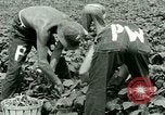 Standbild Deutsche Kriegsgefangenenlager in United States United States USA, 1944, aus Sekunde 31 historischem Filmmaterial Videoclip 65675021139