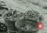 Standbild Deutsche Kriegsgefangenenlager in United States United States USA, 1944, aus Sekunde 43 historischem Filmmaterial Videoclip 65675021139