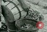 Standbild Deutsche Kriegsgefangenenlager in United States United States USA, 1944, aus Sekunde 44 historischem Filmmaterial Videoclip 65675021139