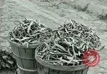 Standbild Deutsche Kriegsgefangenenlager in United States United States USA, 1944, aus Sekunde 54 historischem Filmmaterial Videoclip 65675021139