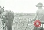 Standbild Kriegsgefangenenlager Southern United States USA, 1944, aus Sekunde 1 historischem Filmmaterial Videoclip 65675021140