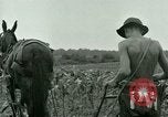 Standbild Kriegsgefangenenlager Southern United States USA, 1944, aus Sekunde 3 historischem Filmmaterial Videoclip 65675021140
