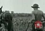 Standbild Kriegsgefangenenlager Southern United States USA, 1944, aus Sekunde 5 historischem Filmmaterial Videoclip 65675021140