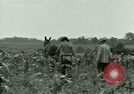Standbild Kriegsgefangenenlager Southern United States USA, 1944, aus Sekunde 7 historischem Filmmaterial Videoclip 65675021140