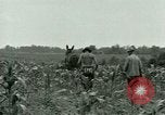 Standbild Kriegsgefangenenlager Southern United States USA, 1944, aus Sekunde 8 historischem Filmmaterial Videoclip 65675021140