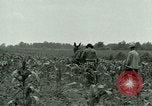 Standbild Kriegsgefangenenlager Southern United States USA, 1944, aus Sekunde 9 historischem Filmmaterial Videoclip 65675021140