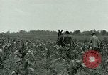 Standbild Kriegsgefangenenlager Southern United States USA, 1944, aus Sekunde 10 historischem Filmmaterial Videoclip 65675021140