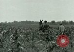 Standbild Kriegsgefangenenlager Southern United States USA, 1944, aus Sekunde 11 historischem Filmmaterial Videoclip 65675021140