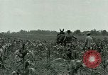 Standbild Kriegsgefangenenlager Southern United States USA, 1944, aus Sekunde 12 historischem Filmmaterial Videoclip 65675021140