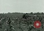 Standbild Kriegsgefangenenlager Southern United States USA, 1944, aus Sekunde 13 historischem Filmmaterial Videoclip 65675021140