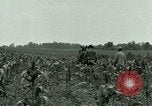 Standbild Kriegsgefangenenlager Southern United States USA, 1944, aus Sekunde 14 historischem Filmmaterial Videoclip 65675021140