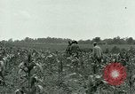 Standbild Kriegsgefangenenlager Southern United States USA, 1944, aus Sekunde 16 historischem Filmmaterial Videoclip 65675021140