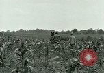 Standbild Kriegsgefangenenlager Southern United States USA, 1944, aus Sekunde 17 historischem Filmmaterial Videoclip 65675021140