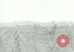 Standbild Kriegsgefangenenlager Southern United States USA, 1944, aus Sekunde 18 historischem Filmmaterial Videoclip 65675021140