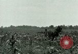 Standbild Kriegsgefangenenlager Southern United States USA, 1944, aus Sekunde 20 historischem Filmmaterial Videoclip 65675021140