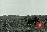 Standbild Kriegsgefangenenlager Southern United States USA, 1944, aus Sekunde 21 historischem Filmmaterial Videoclip 65675021140