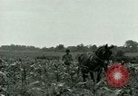 Standbild Kriegsgefangenenlager Southern United States USA, 1944, aus Sekunde 24 historischem Filmmaterial Videoclip 65675021140