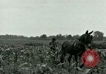 Standbild Kriegsgefangenenlager Southern United States USA, 1944, aus Sekunde 25 historischem Filmmaterial Videoclip 65675021140