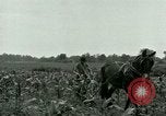 Standbild Kriegsgefangenenlager Southern United States USA, 1944, aus Sekunde 26 historischem Filmmaterial Videoclip 65675021140