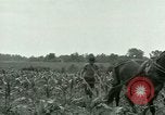 Standbild Kriegsgefangenenlager Southern United States USA, 1944, aus Sekunde 28 historischem Filmmaterial Videoclip 65675021140